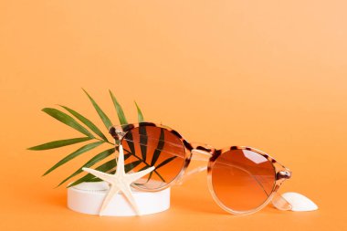 Masa arkasında deniz kabuğu olan güneş gözlükleri. Yaz arkaplanında güneş gözlüğü. Metin için kopyalama alanı olan üst görünüm düzlüğü.