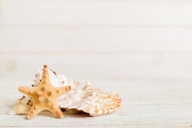 Yaz mevsimi kavramı deniz kabukları ya da arka planda metin için fotokopi alanı olan denizyıldızı ile.