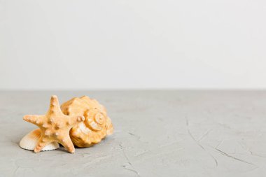 Yaz mevsimi kavramı deniz kabukları ya da arka planda metin için fotokopi alanı olan denizyıldızı ile.