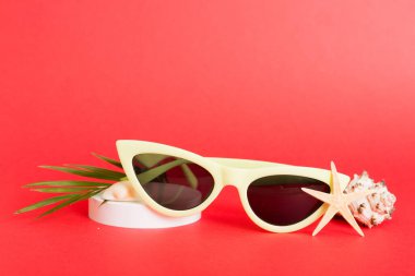 Masa arkasında deniz kabuğu olan güneş gözlükleri. Yaz arkaplanında güneş gözlüğü. Metin için kopyalama alanı olan üst görünüm düzlüğü.