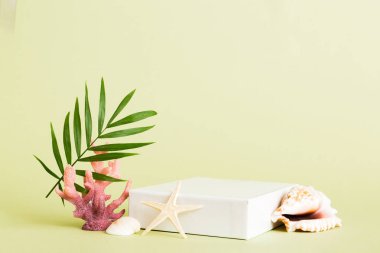 Masa arkasında deniz kabuğu olan güneş gözlükleri. Yaz arkaplanında güneş gözlüğü. Metin için kopyalama alanı olan üst görünüm düzlüğü.