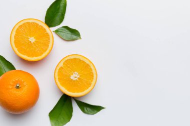 Renkli arka planda taze meyve portakalı dilimleri. Üst Manzara. Uzayı kopyala yaratıcı yaz konsepti. Minimum düzlükte turunçgillerin yarısı kopyalama alanı ile yatar.