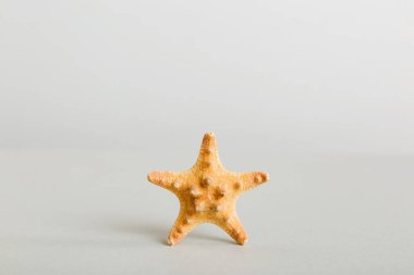 Yaz mevsimi kavramı deniz kabukları ya da arka planda metin için fotokopi alanı olan denizyıldızı ile.