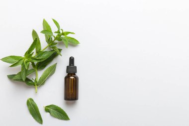 Cam Şişedeki Doğal Nane Özeli Yağı. Renkli arka planda nane özlü bitkisel kozmetik ürünleri.