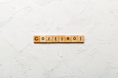Tahta bloğa yazılmış kortizol kelimesi. Üst görünüm konseptiniz için çimento üzerinde Cortisol metin.
