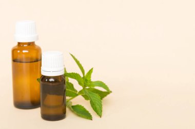 Cam Şişedeki Doğal Nane Özeli Yağı. Renkli arka planda nane özlü bitkisel kozmetik ürünleri.