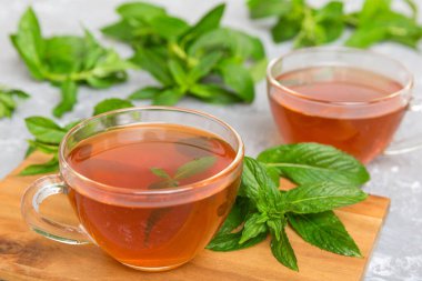 Arka planda bir fincan nane çayı. Fotokopi alanı ile taze nane görünümlü yeşil çay.