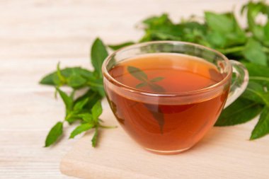 Arka planda bir fincan nane çayı. Fotokopi alanı ile taze nane görünümlü yeşil çay.