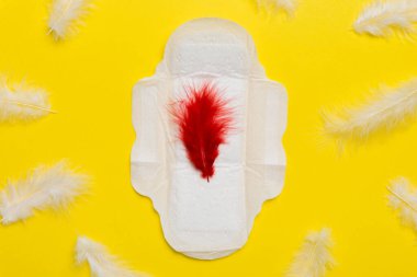 Kan regl döneminde hijyen için büyük bir regl pedi. Regl pedi, kırmızı tüy, hijyen koruması. Tıbbi kadın konsepti kritik günler ve adet görme.