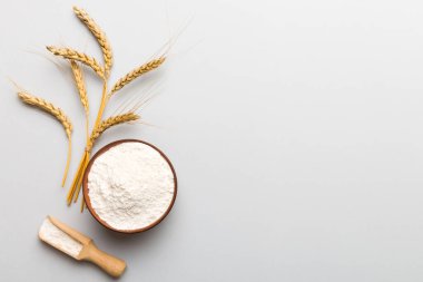 Tahta kasede buğday unu ve renkli arka planda buğday dikenleri. dünya buğday krizi.