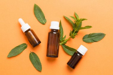 Cam Şişedeki Doğal Nane Özeli Yağı. Renkli arka planda nane özlü bitkisel kozmetik ürünleri.