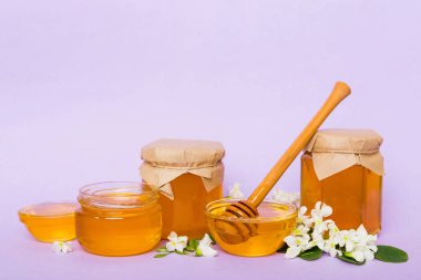 robinia honey bollte with acacacia flomes on color table.