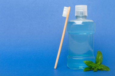 Ağız gargarası ve renkli arkaplanda taze nane, metin için kopya alanı olan üst görünüm.