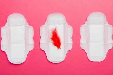 Kadın hijyen ürünleri ya da arka planda kırmızı tüy olan hijyenik ped. Pastel renk. - Yakın çekim. Mesaj için boş bir yer. Kadın günlük hijyeni..