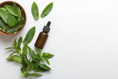 Cam Şişedeki Doğal Nane Özeli Yağı. Renkli arka planda nane özlü bitkisel kozmetik ürünleri.