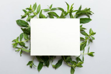 Boş kağıttan yapılmış çelenk çerçevesi, metin için boşluk ve renkli arkaplanda nane yaprakları. - Evet. Darphane deseni. Düz yatıyordu. Üst görünüm.