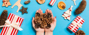 Çam kozalağı yığınının üst görüntüsü bayanların elinde, şenlikli süslemelerden yapılmış mavi arka planda. Noel zamanı konsepti.