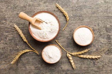 Tahta kasede buğday unu ve renkli arka planda buğday dikenleri. dünya buğday krizi.