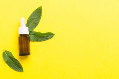 Cam Şişedeki Doğal Nane Özeli Yağı. Renkli arka planda nane özlü bitkisel kozmetik ürünleri.