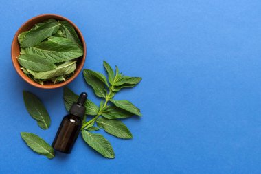 Cam Şişedeki Doğal Nane Özeli Yağı. Renkli arka planda nane özlü bitkisel kozmetik ürünleri.