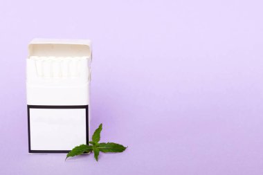 Bir paket mentollü sigara ve renkli masada taze nane şekeri, mentollü sigaralar düz yerde yatıyordu..