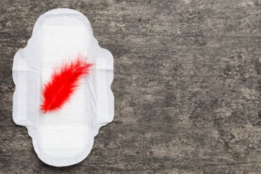 Kadın hijyen ürünleri ya da arka planda kırmızı tüy olan hijyenik ped. Pastel renk. - Yakın çekim. Mesaj için boş bir yer. Kadın günlük hijyeni..