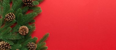 Reklam metinleri için fotokopi alanı olan bir Noel tatili. Firavun dalları ve arka planda çam kozalakları. Düz yatış, üst görünüm.