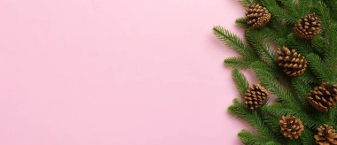 Reklam metinleri için fotokopi alanı olan bir Noel tatili. Firavun dalları ve arka planda çam kozalakları. Düz yatış, üst görünüm.