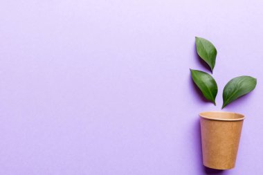 Yeşil yapraklı sıfır atık bardak, çevre dostu, tek kullanımlık, karton, çevre dostu kahve fincanı. Kopyalama alanı ile en üstte görünüm.