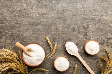 Tahta kasede buğday unu ve renkli arka planda buğday dikenleri. dünya buğday krizi.