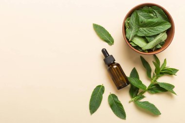 Cam Şişedeki Doğal Nane Özeli Yağı. Renkli arka planda nane özlü bitkisel kozmetik ürünleri.