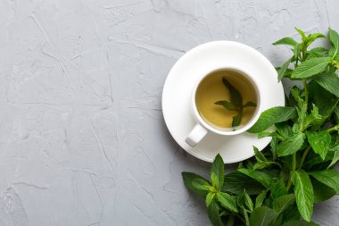 Arka planda bir fincan nane çayı. Fotokopi alanı ile taze nane görünümlü yeşil çay.