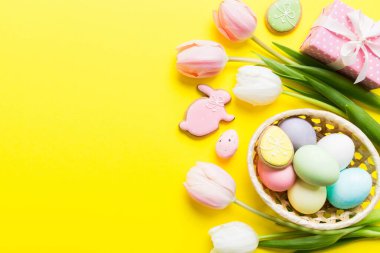 Yumurtalı Paskalya çerçevesi, renkli bir arka planda hediye kutusu ve lale. Minimum konsept. Üst Manzara Mutlu Paskalyalar kompozisyonu. Metin için yerin bir kopyasına sahip kart.