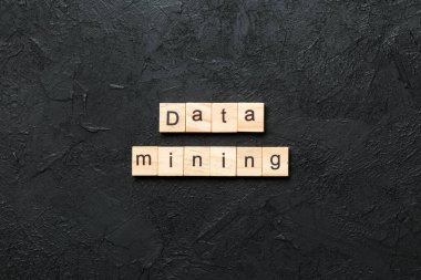 Tahta blokta yazılı veri madenciliği kelimesi. Beton masadaki veri madenciliği metni desing, konsept için.