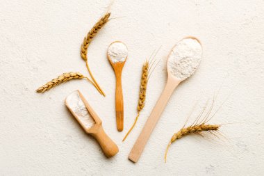 Tahta kasede buğday unu ve renkli arka planda buğday dikenleri. dünya buğday krizi.