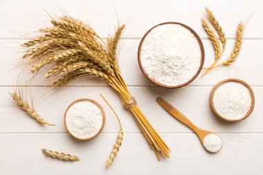 Tahta kasede buğday unu ve renkli arka planda buğday dikenleri. dünya buğday krizi.