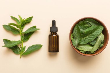 Cam Şişedeki Doğal Nane Özeli Yağı. Renkli arka planda nane özlü bitkisel kozmetik ürünleri.