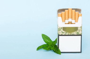 Bir paket mentollü sigara ve renkli masada taze nane şekeri, mentollü sigaralar düz yerde yatıyordu..