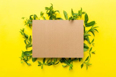 Boş kağıttan yapılmış çelenk çerçevesi, metin için boşluk ve renkli arkaplanda nane yaprakları. - Evet. Darphane deseni. Düz yatıyordu. Üst görünüm.