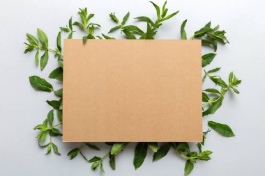 Boş kağıttan yapılmış çelenk çerçevesi, metin için boşluk ve renkli arkaplanda nane yaprakları. - Evet. Darphane deseni. Düz yatıyordu. Üst görünüm.