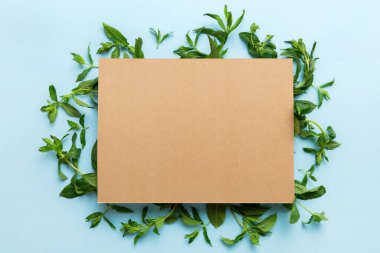 Boş kağıttan yapılmış çelenk çerçevesi, metin için boşluk ve renkli arkaplanda nane yaprakları. - Evet. Darphane deseni. Düz yatıyordu. Üst görünüm.