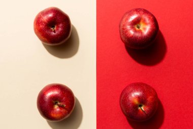 Renkli arka planda bir sürü kırmızı elma, üst manzara. Görüş üzerinde taze elma ile sonbahar deseni.