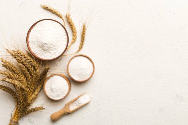 Tahta kasede buğday unu ve renkli arka planda buğday dikenleri. dünya buğday krizi.