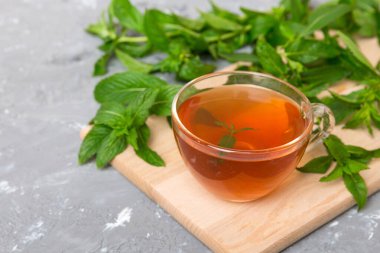 Arka planda bir fincan nane çayı. Fotokopi alanı ile taze nane görünümlü yeşil çay.