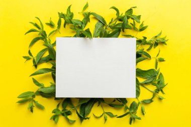 Boş kağıttan yapılmış çelenk çerçevesi, metin için boşluk ve renkli arkaplanda nane yaprakları. - Evet. Darphane deseni. Düz yatıyordu. Üst görünüm.