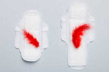 Kadın hijyen ürünleri ya da arka planda kırmızı tüy olan hijyenik ped. Pastel renk. - Yakın çekim. Mesaj için boş bir yer. Kadın günlük hijyeni..