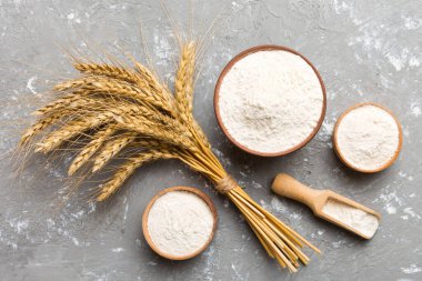 Tahta kasede buğday unu ve renkli arka planda buğday dikenleri. dünya buğday krizi.