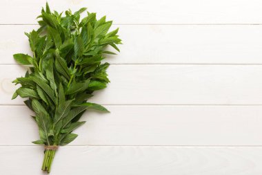 Renkli masada taze nane tomarı. Kopyalama alanı olan üst görünüm.