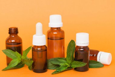 Cam Şişedeki Doğal Nane Özeli Yağı. Renkli arka planda nane özlü bitkisel kozmetik ürünleri.