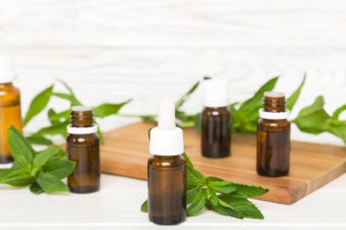 Cam Şişedeki Doğal Nane Özeli Yağı. Renkli arka planda nane özlü bitkisel kozmetik ürünleri.